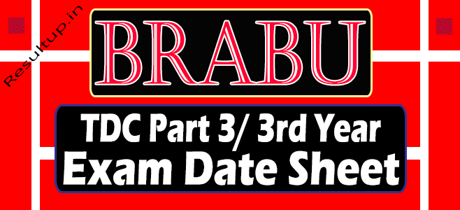 BRABU Part 3rd Examination Date Sheet 2023 Pdf